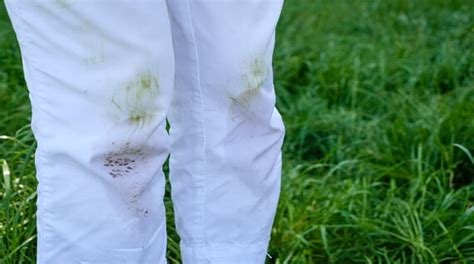 grasvlekken uit kleding verwijderen.